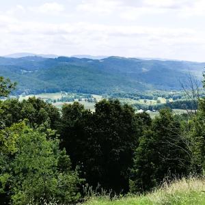 Photo #6 of .TBD DOE HILL RD, MC DOWELL, VA 35.5 acres