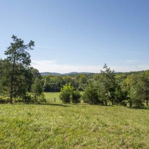 Photo #11 of TBD WATTS PASSAGE, CHARLOTTESVILLE, VA 66.0 acres