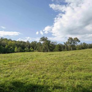 Photo #17 of TBD WATTS PASSAGE, CHARLOTTESVILLE, VA 66.0 acres