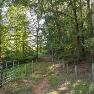 Photo #19 of TBD WATTS PASSAGE, CHARLOTTESVILLE, VA 66.0 acres