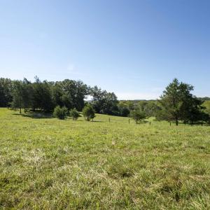 Photo #13 of TBD WATTS PASSAGE, CHARLOTTESVILLE, VA 66.0 acres