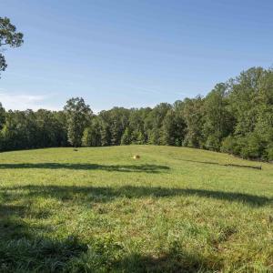 Photo #14 of TBD WATTS PASSAGE, CHARLOTTESVILLE, VA 66.0 acres
