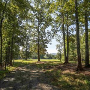 Photo #8 of TBD WATTS PASSAGE, CHARLOTTESVILLE, VA 66.0 acres