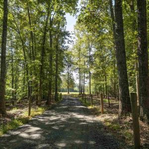 Photo #10 of TBD WATTS PASSAGE, CHARLOTTESVILLE, VA 66.0 acres