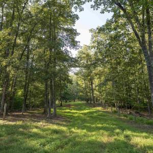 Photo #20 of TBD WATTS PASSAGE, CHARLOTTESVILLE, VA 66.0 acres