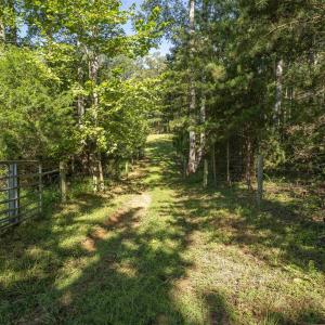 Photo #23 of TBD WATTS PASSAGE, CHARLOTTESVILLE, VA 66.0 acres