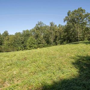 Photo #21 of TBD WATTS PASSAGE, CHARLOTTESVILLE, VA 66.0 acres