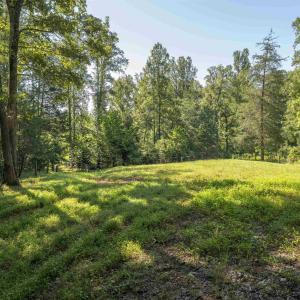 Photo #12 of TBD WATTS PASSAGE, CHARLOTTESVILLE, VA 66.0 acres