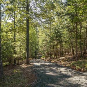 Photo #9 of TBD WATTS PASSAGE, CHARLOTTESVILLE, VA 66.0 acres