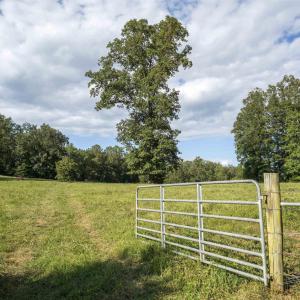 Photo #18 of TBD WATTS PASSAGE, CHARLOTTESVILLE, VA 66.0 acres