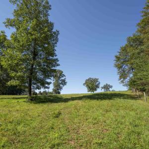 Photo #24 of TBD WATTS PASSAGE, CHARLOTTESVILLE, VA 66.0 acres