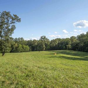 Photo #15 of TBD WATTS PASSAGE, CHARLOTTESVILLE, VA 66.0 acres