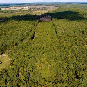 Photo #12 of TISDALE RD, LOUISA, VA 9.4 acres