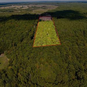 Photo #4 of TISDALE RD, LOUISA, VA 9.4 acres