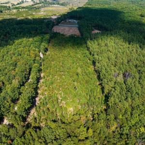 Photo #10 of TISDALE RD, LOUISA, VA 9.4 acres