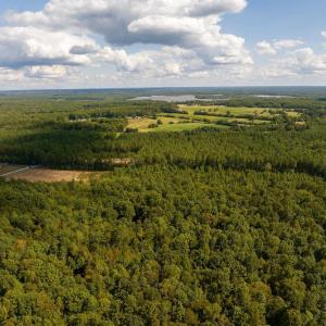 Photo #14 of TISDALE RD, LOUISA, VA 9.4 acres