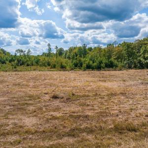 Photo #8 of TISDALE RD, LOUISA, VA 9.4 acres