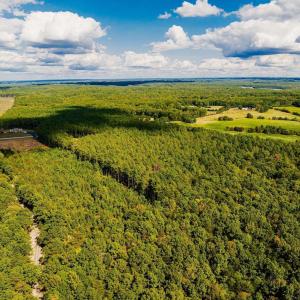 Photo #11 of TISDALE RD, LOUISA, VA 9.4 acres