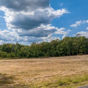 Photo #1 of TISDALE RD, LOUISA, VA 9.4 acres