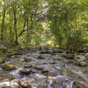 Photo #5 of MAE DR, STANARDSVILLE, VA 2.8 acres