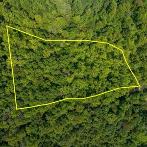 Photo #2 of MAE DR, STANARDSVILLE, VA 2.8 acres