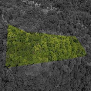 Photo #8 of MAE DR, STANARDSVILLE, VA 2.8 acres