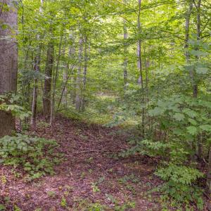 Photo #3 of MAE DR, STANARDSVILLE, VA 2.8 acres
