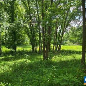 Photo #13 of JAMES RIVER RD, WINGINA, VA 36.9 acres