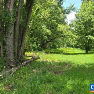 Photo #9 of JAMES RIVER RD, WINGINA, VA 36.9 acres