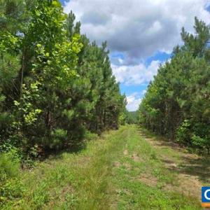 Photo #16 of JAMES RIVER RD, WINGINA, VA 36.9 acres