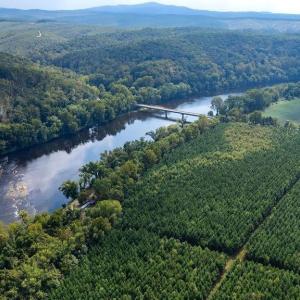 Photo #31 of TBD JAMES RIVER RD, WINGINA, VA 36.9 acres