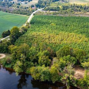 Photo #15 of TBD JAMES RIVER RD, WINGINA, VA 36.9 acres