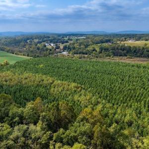 Photo #28 of TBD JAMES RIVER RD, WINGINA, VA 36.9 acres