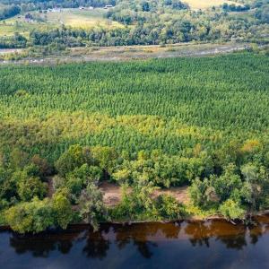 Photo #16 of TBD JAMES RIVER RD, WINGINA, VA 36.9 acres