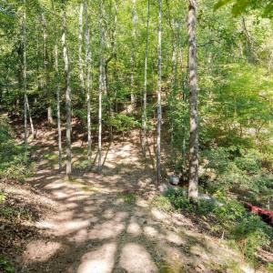 Photo #14 of 48 SMOKEWOOD DR, PALMYRA, VA 0.6 acres