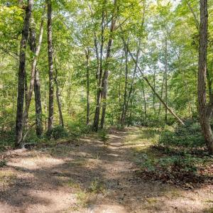 Photo #15 of 48 SMOKEWOOD DR, PALMYRA, VA 0.6 acres