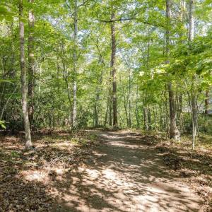 Photo #16 of 48 SMOKEWOOD DR, PALMYRA, VA 0.6 acres