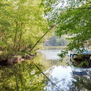 Photo #2 of 48 SMOKEWOOD DR, PALMYRA, VA 0.6 acres