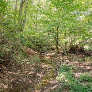 Photo #19 of 48 SMOKEWOOD DR, PALMYRA, VA 0.6 acres