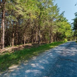Photo #15 of TBD RIVERVIEW DR, LURAY, VA 1.5 acres