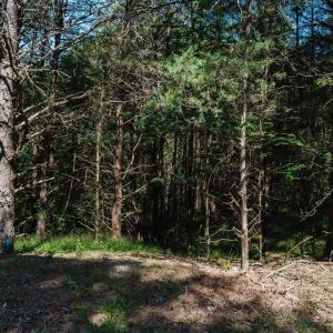 Photo #13 of TBD RIVERVIEW DR, LURAY, VA 1.5 acres