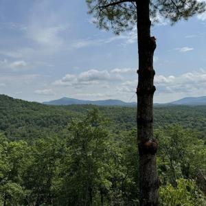 ...AND Underground Utilities (Electric, Fiber Internet) are Hard to Find.  You can own this Piece of Paradise!