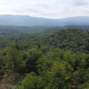 Photo #5 of TBD STAREY DRAFT LN, WEST AUGUSTA, VA 7.2 acres