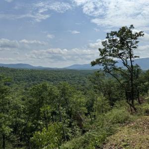 ...from Top of Ridge - 7.18 Acres Building Lot in Nature Lover's Paradise!  Fiber Internet!