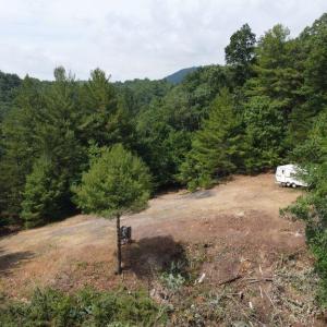 Photo #6 of TBD STAREY DRAFT LN, WEST AUGUSTA, VA 7.2 acres