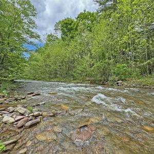 Down the Hill from Building Site is Ramsey’s Draft (Borders Property).  Down the Hill is Steep so Creating a Trail would be a Good Project for New Owner.