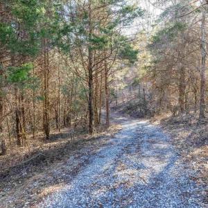 Photo #6 of TBD STILL HOUSE DR, LEXINGTON, VA 4.1 acres