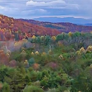 Photo #12 of TBD STILL HOUSE DR, LEXINGTON, VA 4.1 acres