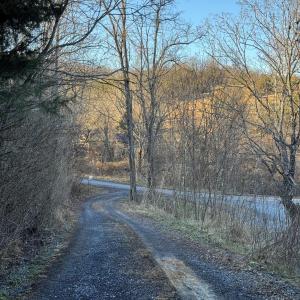 Photo #5 of TBD STILL HOUSE DR, LEXINGTON, VA 4.1 acres