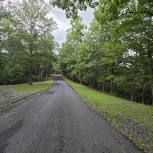 Photo #6 of LERNER LN, BASYE, VA 0.3 acres